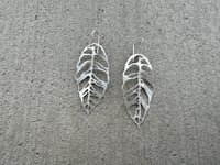 Image 10 of Monstera Esqueleto leaf earrings