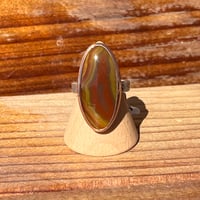 Image 1 of Fighting Blood Agate Ring #1