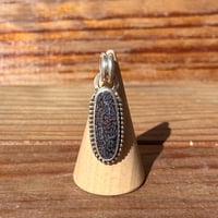 Image 1 of Gem Bone Pendant 