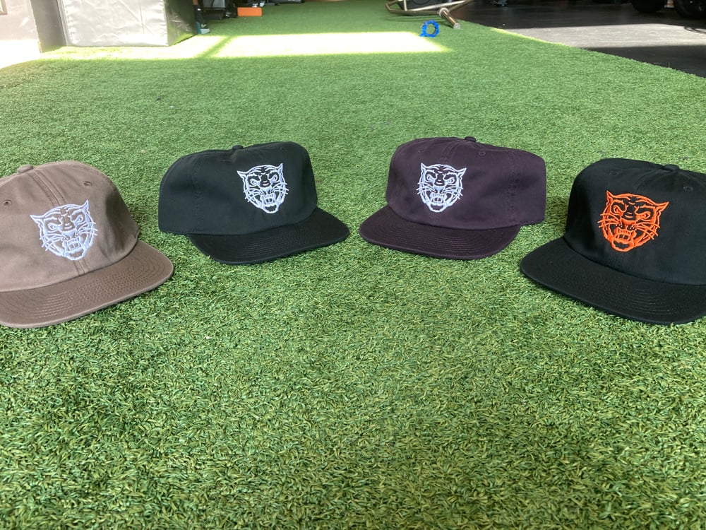 SBG Dad Hats 