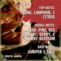 Image 3 of Silent Night, Evil Night