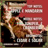 Image 5 of Silent Night, Evil Night