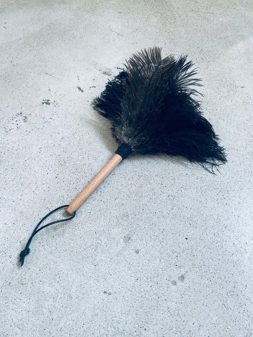 Image of LANS FEATHER DUSTER