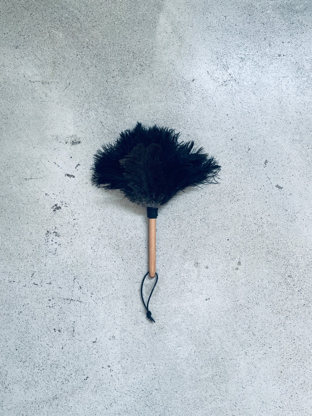 Image of LANS FEATHER DUSTER