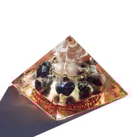 Image 4 of Medium:  Turtle - 8