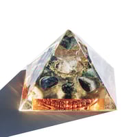 Image 1 of Medium:  Turtle - 8