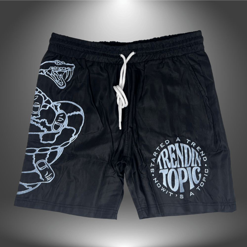 Image of Black TrendinTopicSB Shorts