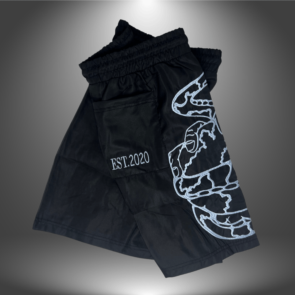 Image of Black TrendinTopicSB Shorts