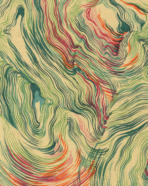 Image of Staghorn I