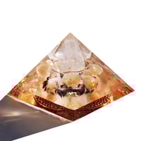 Image 2 of Large:  Lion - 4