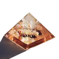 Image 3 of Large:  Lion - 4