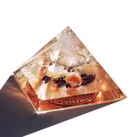 Image 4 of Large:  Lion - 4