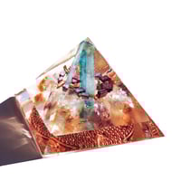 Image 3 of Large:  Dragonfly - 1