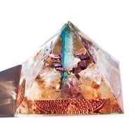 Image 6 of Large:  Dragonfly - 1