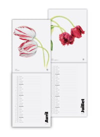 Image 2 of Tulipes 2025 Calendar
