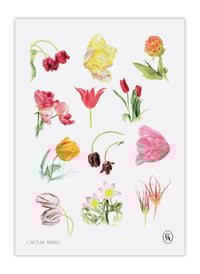 Image 3 of Tulipes 2025 Calendar