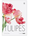 Tulipes 2025 Calendar