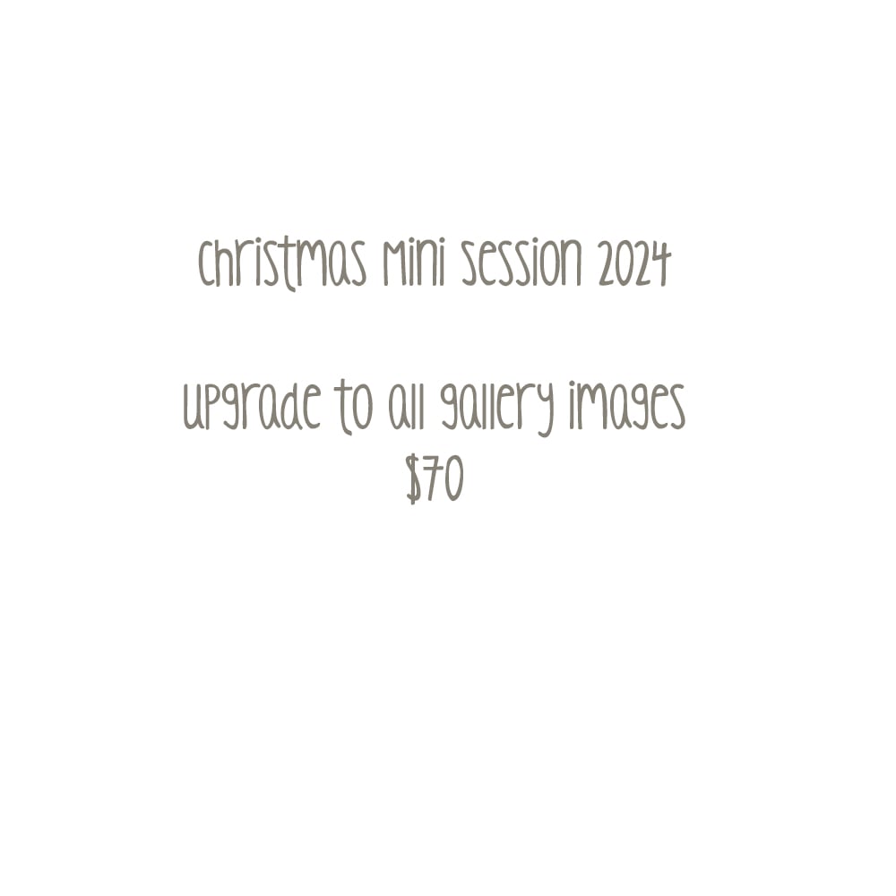 Image of $70 Xmas 2024 All gallery image upgrade