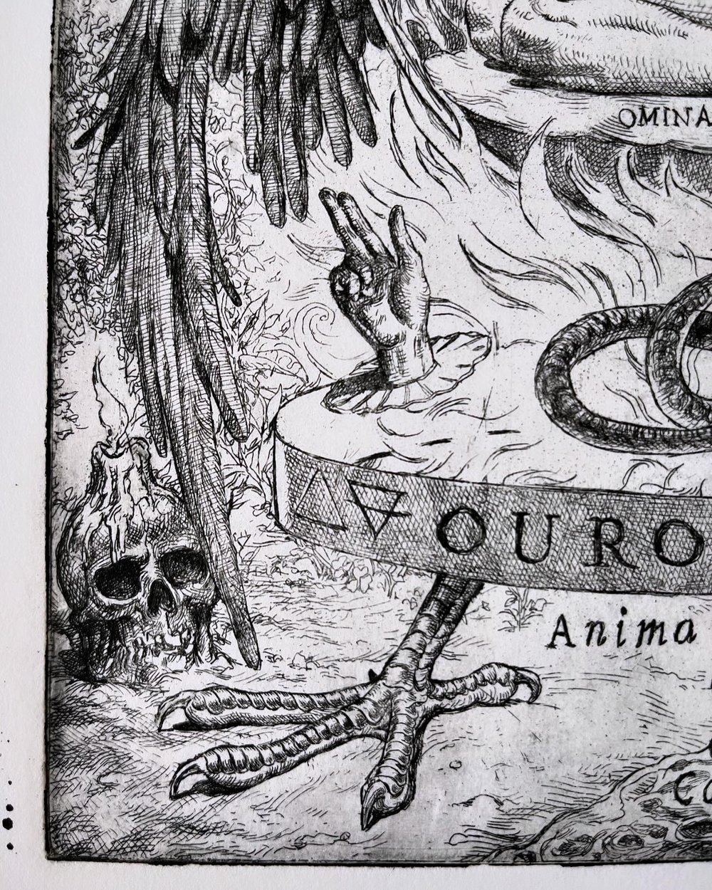 Ouroboros "Etching"