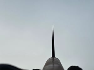 Image of 270 Bluetongue/Birchbark gyuto DCI-online 2025