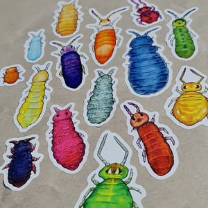 Collembola sticker sheet