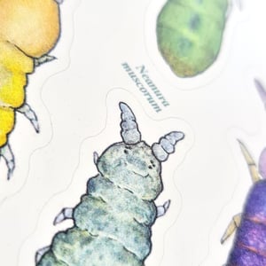 Collembola sticker sheet