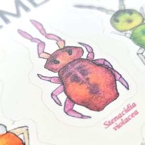 Collembola sticker sheet