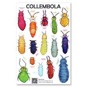 Collembola sticker sheet