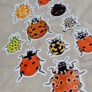 Lady bug sticker sheet