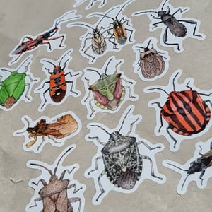 True bug sticker sheet