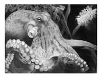 Limited edition print “mastermind of the deep”