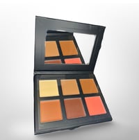 Concealer Palette