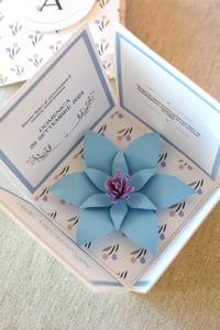 Image 2 of Partecipazione in box