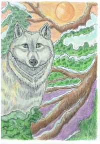 Image 1 of Winter animal scenes £5-£50.00
