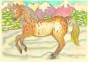 Winter animal scenes £5-£50.00