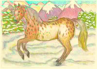 Image 3 of Winter animal scenes £5-£50.00