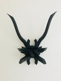 Image 2 of COSXUS 02