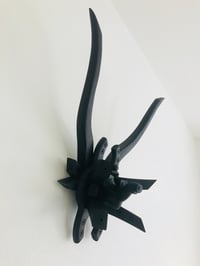 Image 1 of COSXUS 02