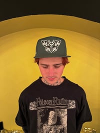 Image 1 of Snapback cap moth