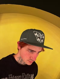 Image 3 of Snapback cap moth