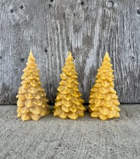 Image 1 of Tree Candle