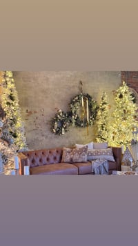 Image 12 of Christmas on Main | JSP + Plant Parlor Event | November 23rd