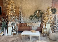 Image 7 of Christmas on Main | JSP + Plant Parlor Event | November 23rd