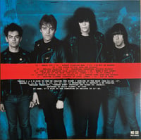 Image 2 of RAMONES - "Too Tough To Die B-sides, Sessions, Demos & More" LP