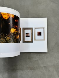 Image 12 of Luigi Ghirri - Polaroid