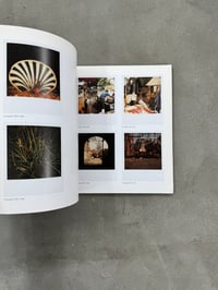 Image 14 of Luigi Ghirri - Polaroid
