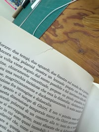 Image 20 of Luigi Ghirri - Polaroid