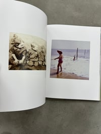 Image 7 of Floh - Tacita Dean