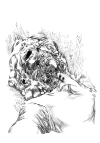 Wystira 
