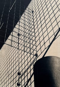 Image 1 of Nancy WILSON-PAJIC - Paris VII, 1995